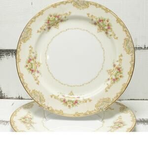 Noritake Nanarose 682 Dinner Plates Set of 2 Discontinued